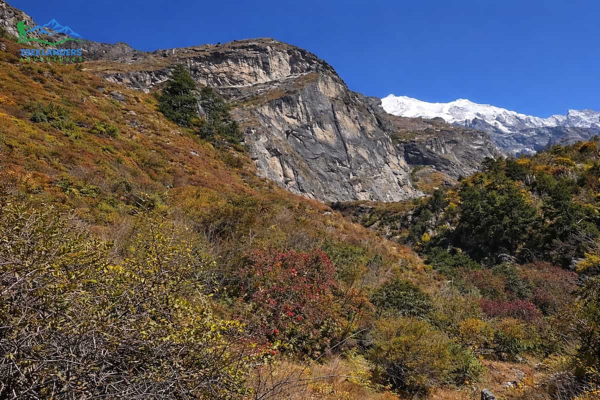 Flora and Fauna in Ghoda Tabela