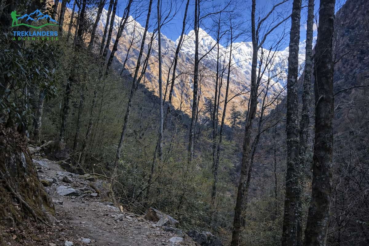 Lama Hotel- Langtang Valley Trek