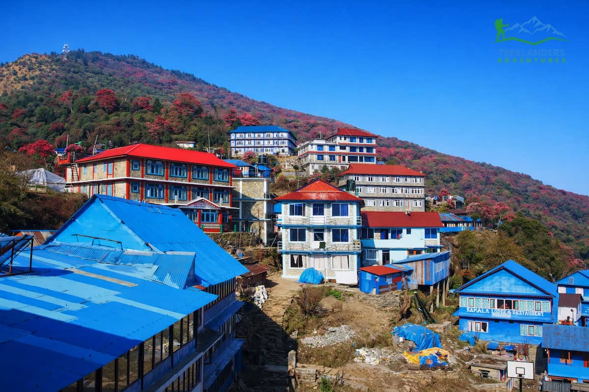 Ghorepani Village- Ghorepani Poonhill Trek