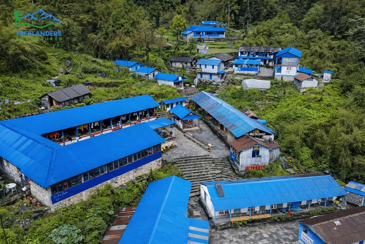 Bamboo- Annapurna Base Camp Trek