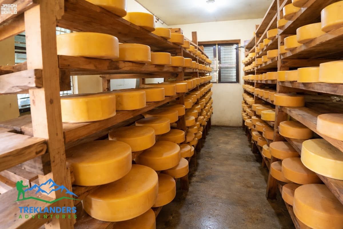 Yak Cheese- Langtang Valley Trek