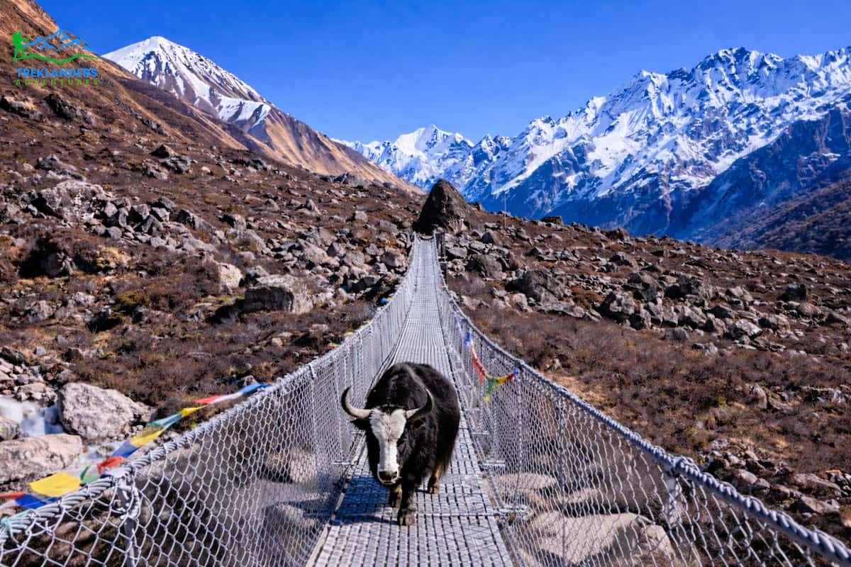 Langtang Valley Trek