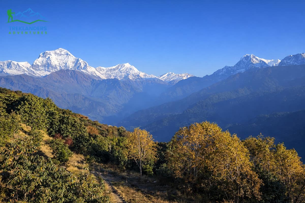 Ghorepani Poonhill Trek