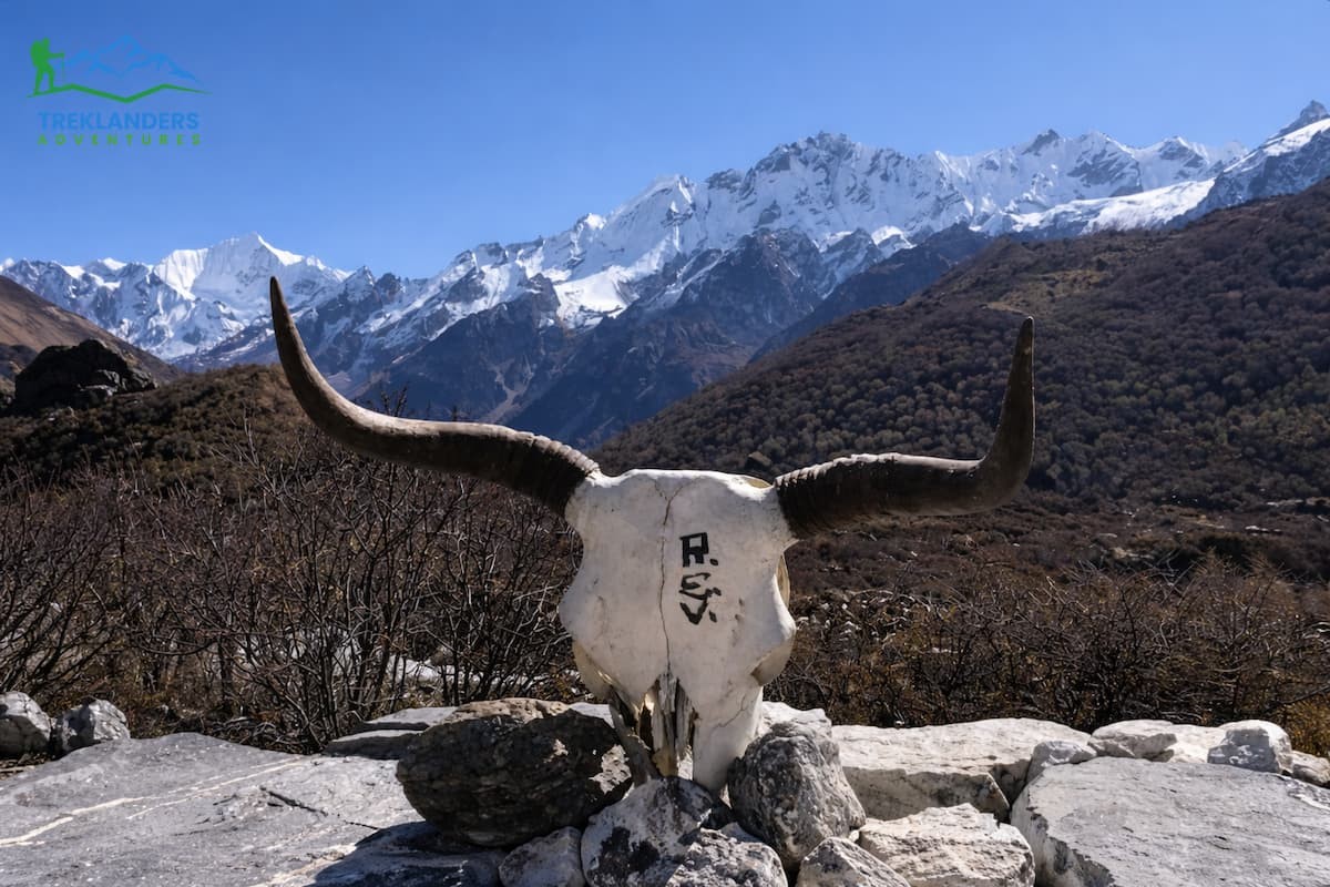 Langtang Valley Trek