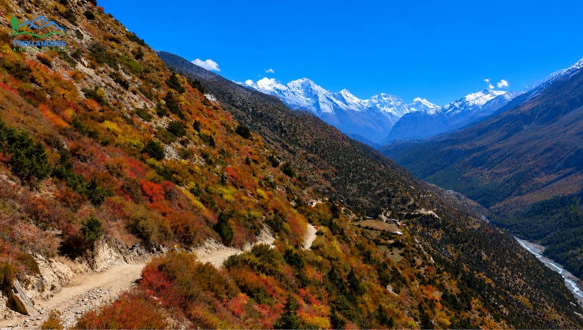Shree Kharka – A Beautiful Landscape Overlooking the Manang Valley