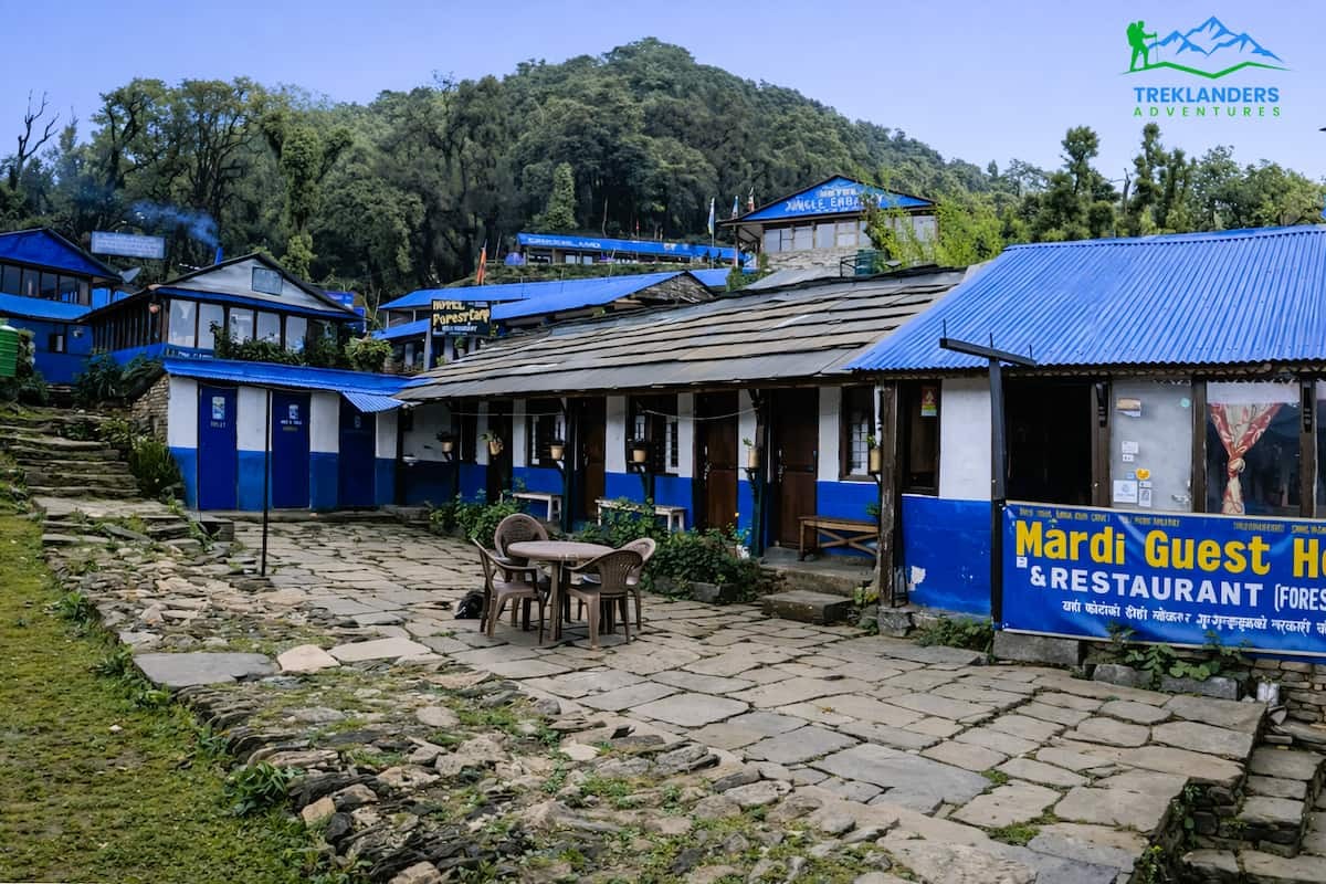 Tea Houses Lodges at Forest Camp- Mardi Himal Trek