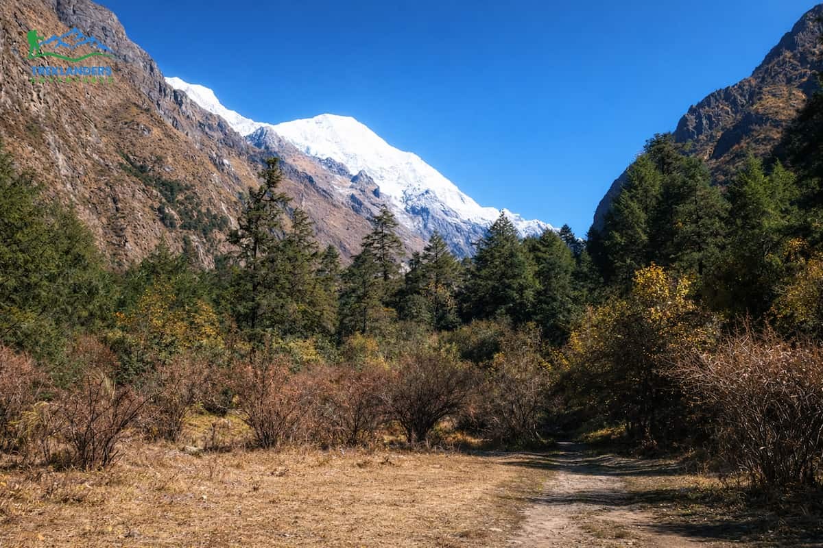 Langtang National Park