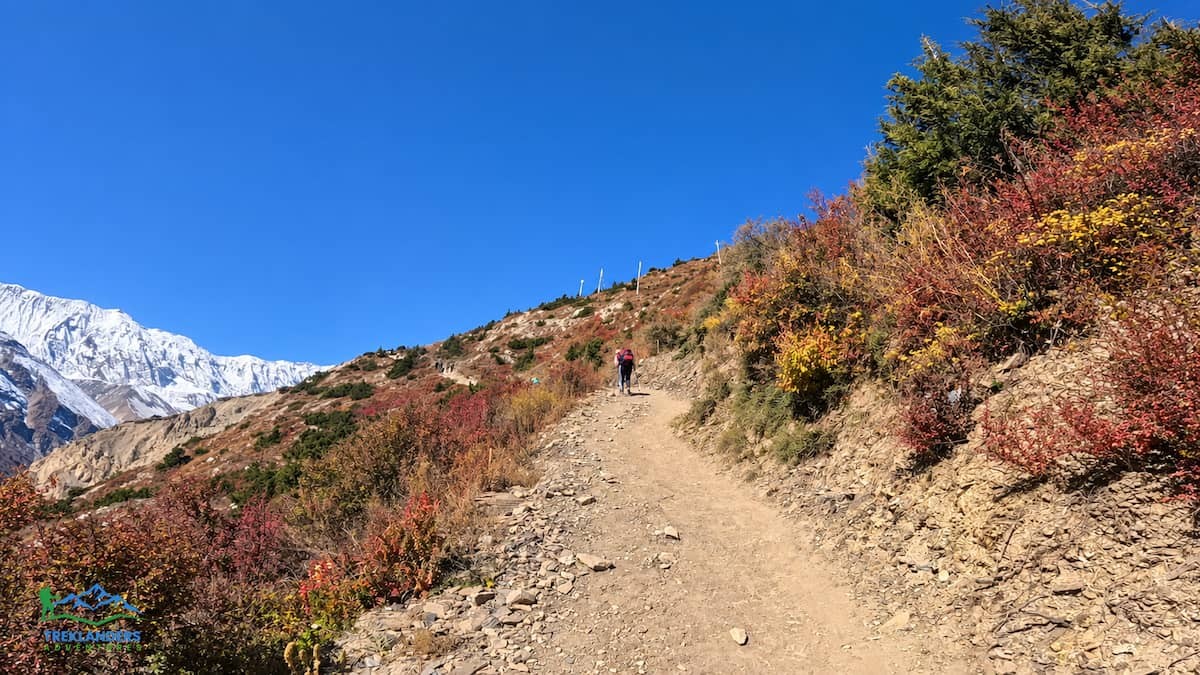 Trailhead