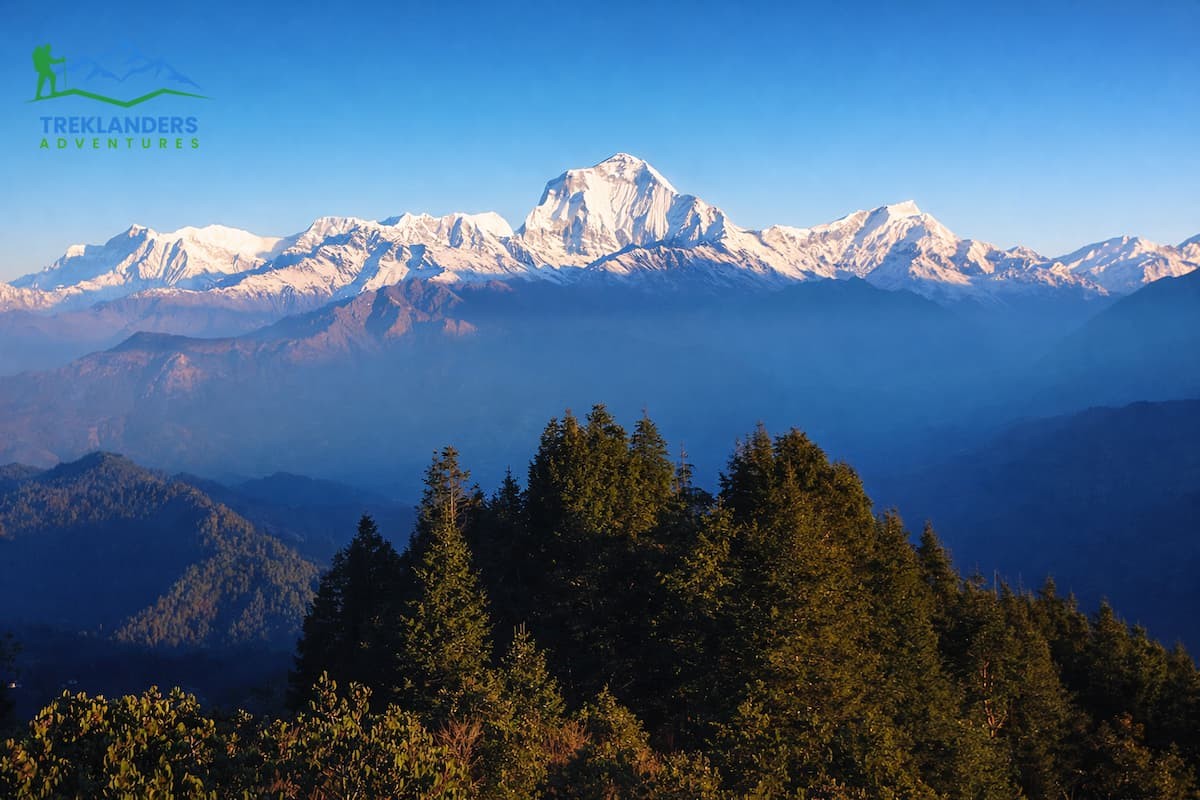 Ghorepani Poonhill Trek