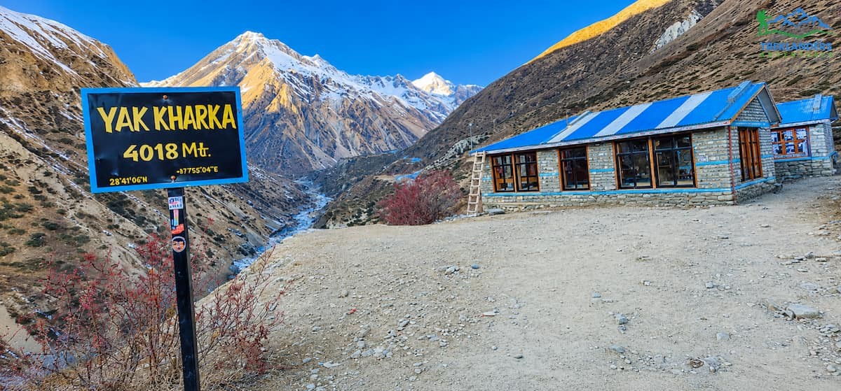 Yak Kharka- Annapurna Circuit Trek