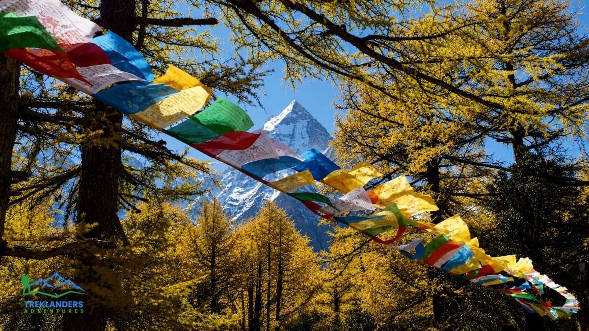 Five Colors