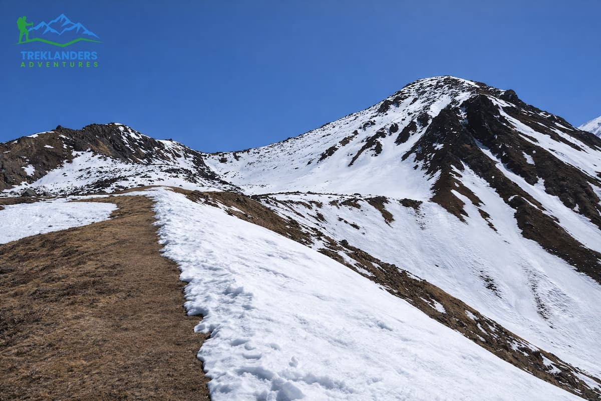 Scenic trail along the Tserko Ri hike – Langtang Valley Trek