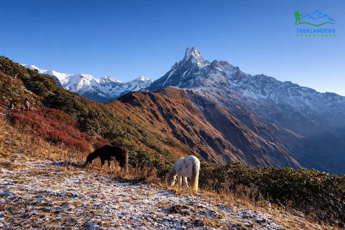 Fishtail- Mardi Himal Trek