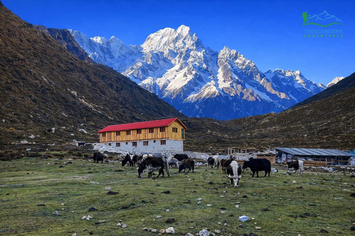 Bhimthang Village- Manaslu Circuit Trek