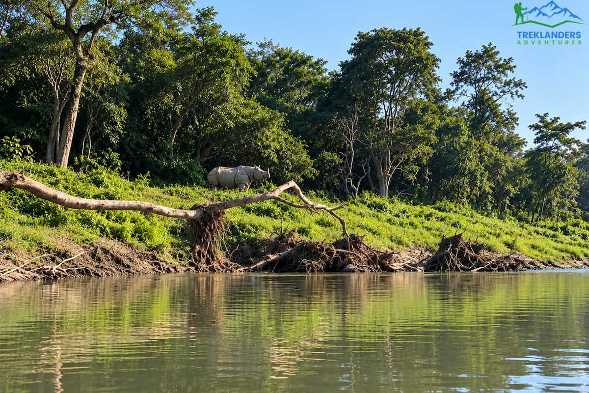 Chitwan National Park