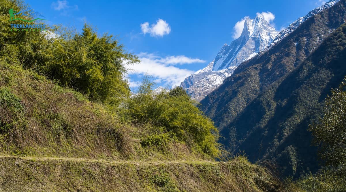 Trail along the Annapurna Base Camp Trek