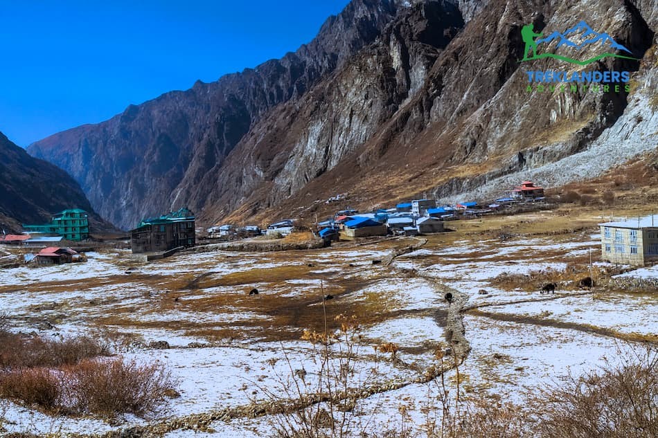 Langtang Village- Langtang Valley Trek