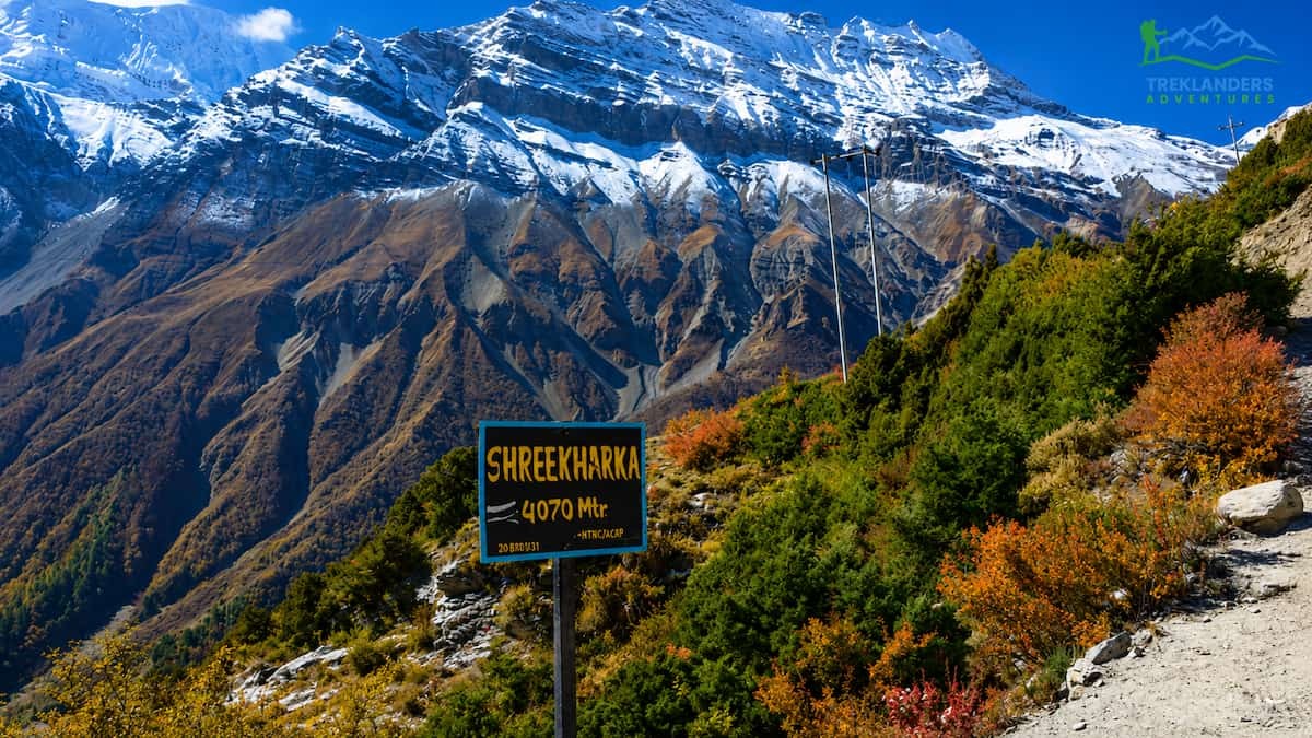 Landscape View of Shree Kharka