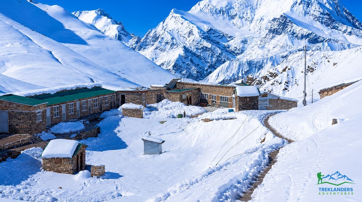 High Camp- Annapurna Circuit Trek