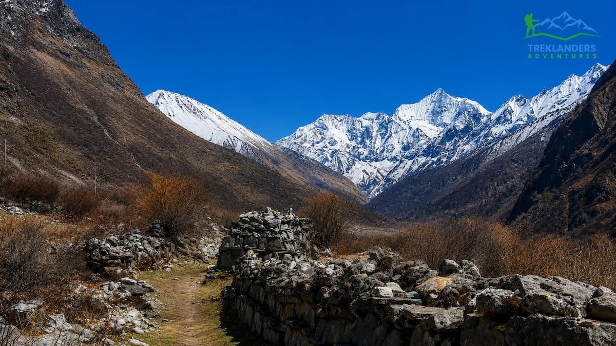 Trail from Mundu to Kyanjin Village
