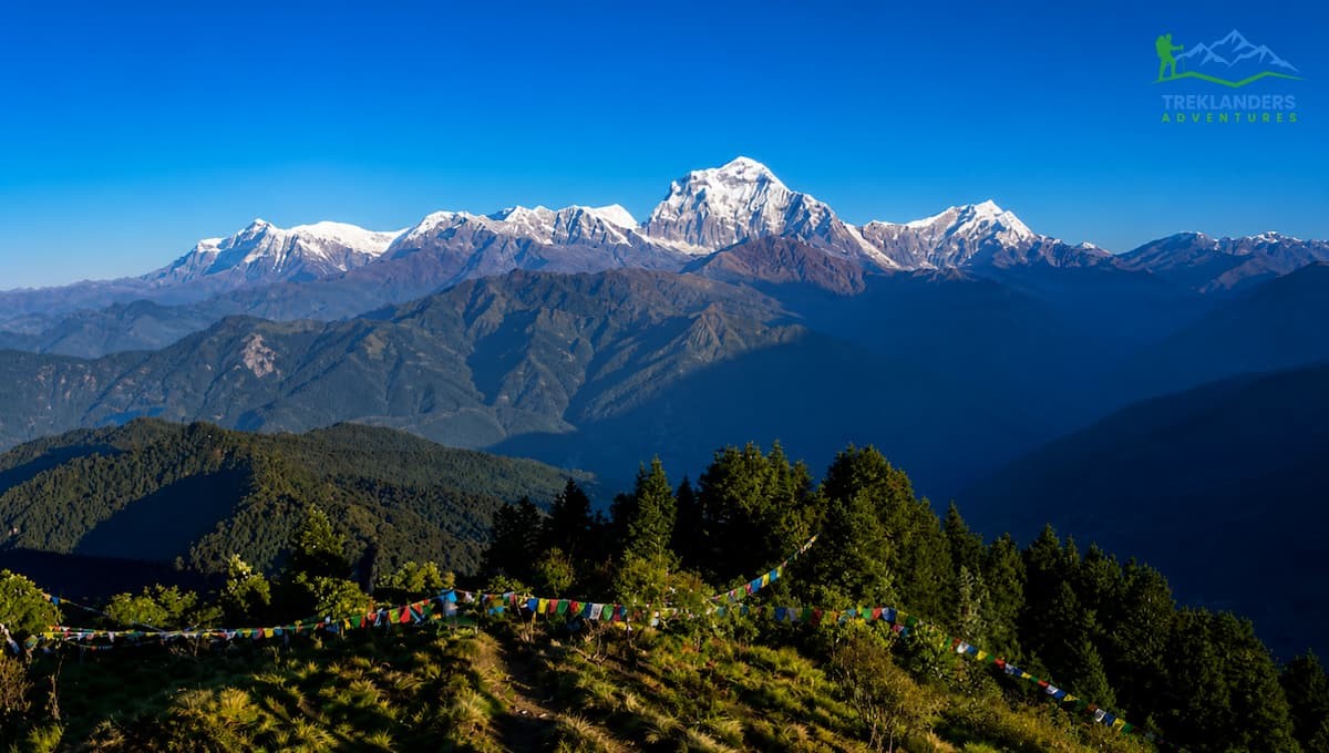 Best Family Trek- Ghorepani Poonhill Trek
