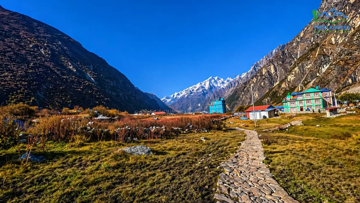 Trail along the Langtang Valley Trek
