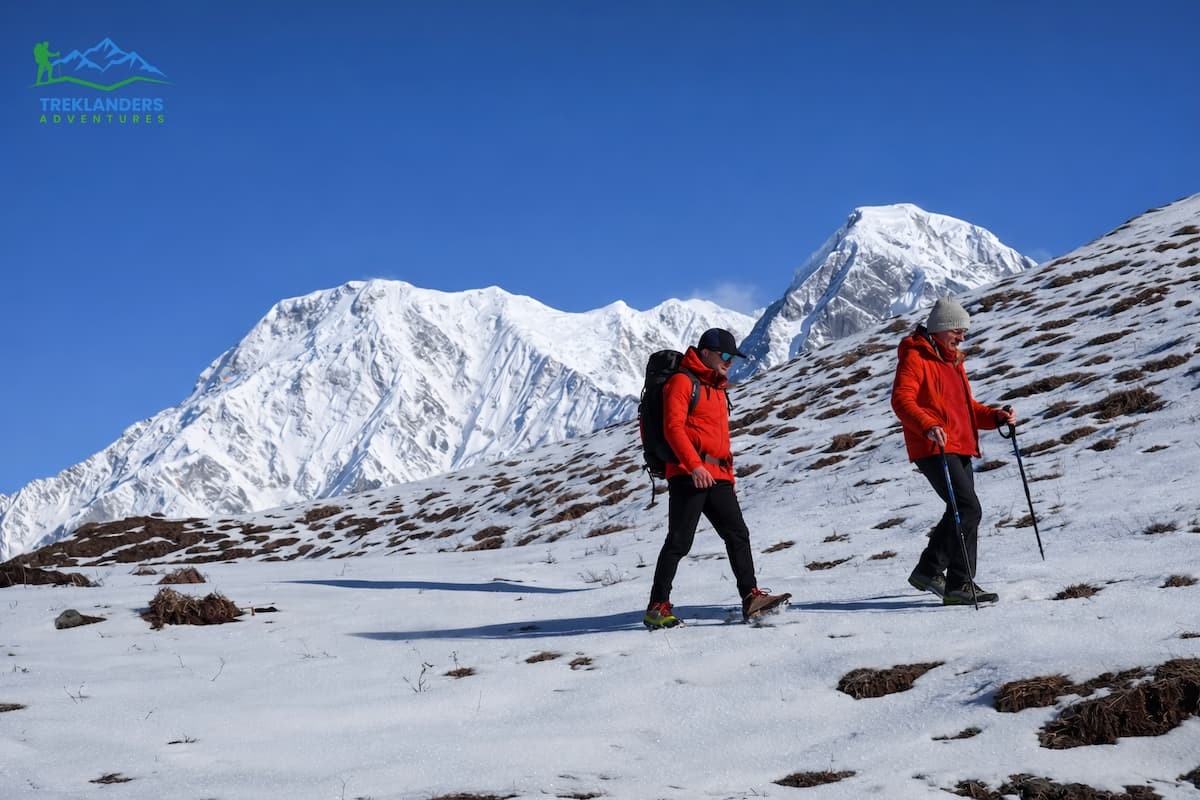 Mardi Himal Trek