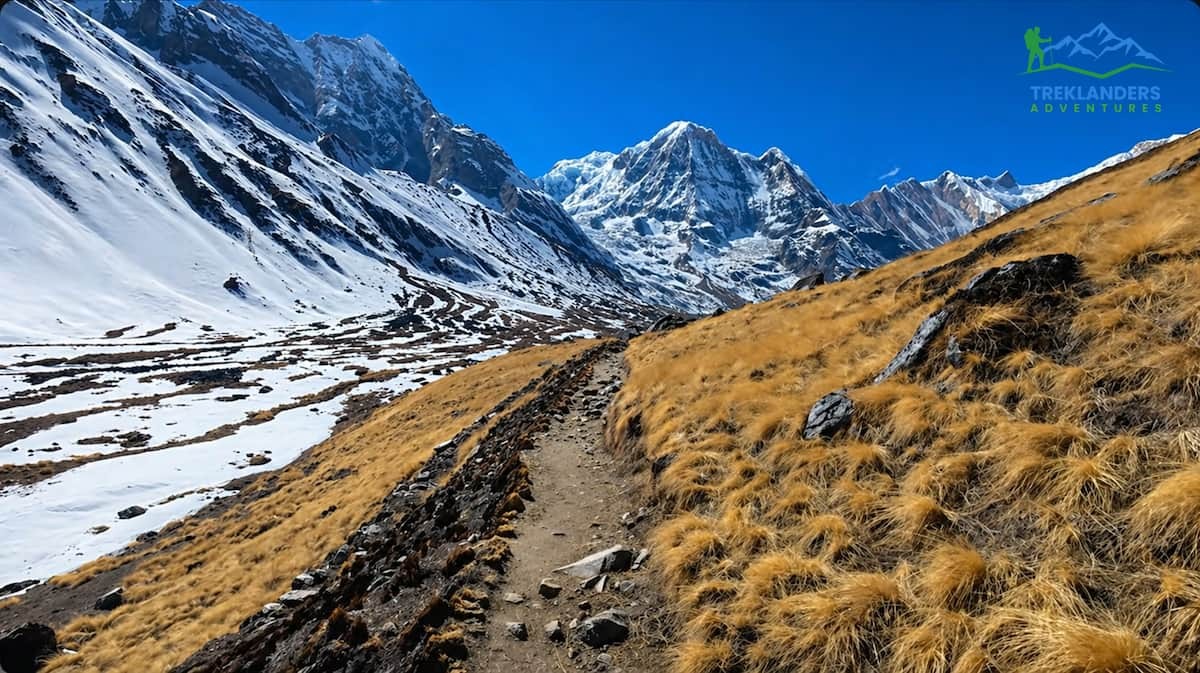 7-Day Annapurna Base Camp Trek