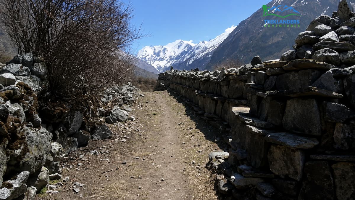 Mani Walls
