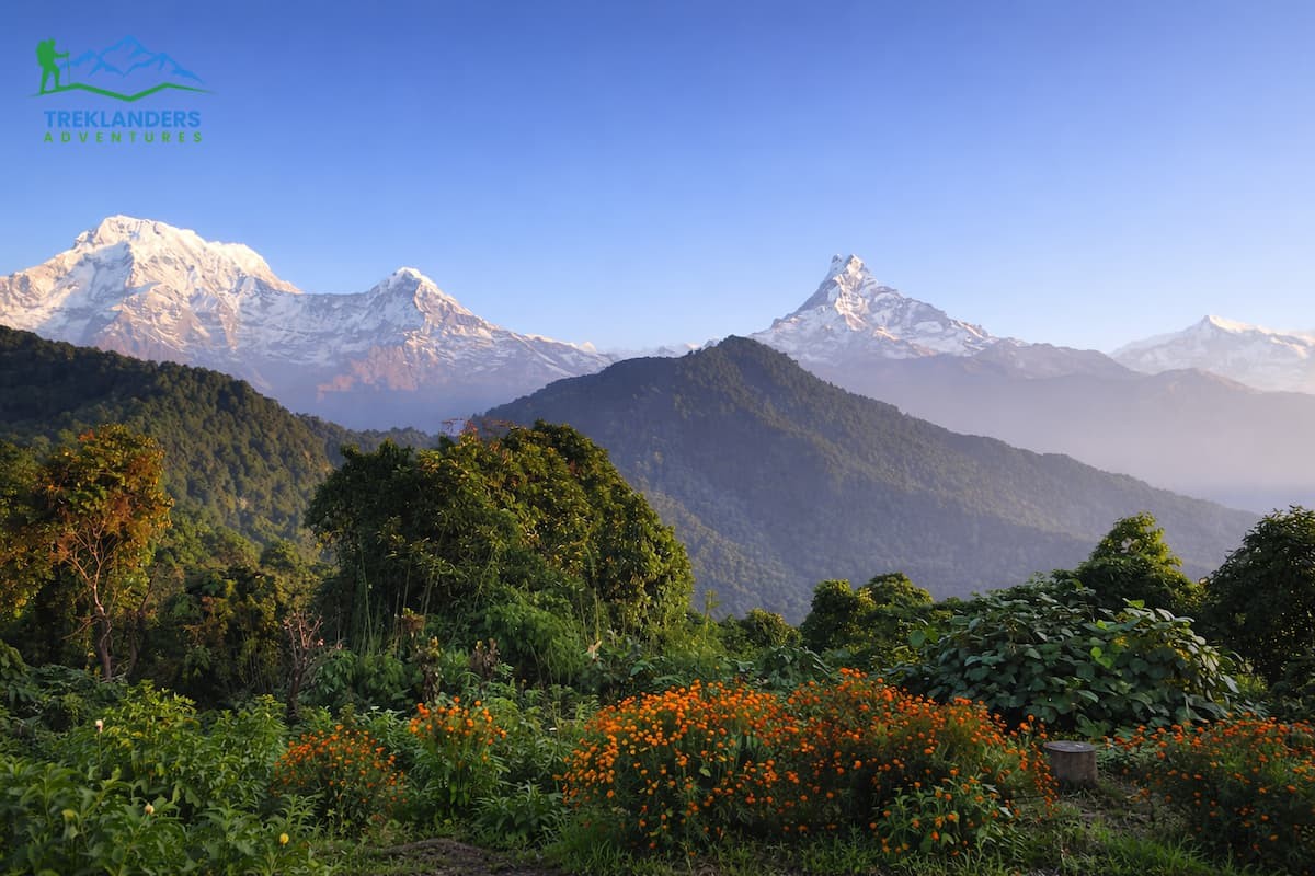 Pothana-Mardi Himal Trek