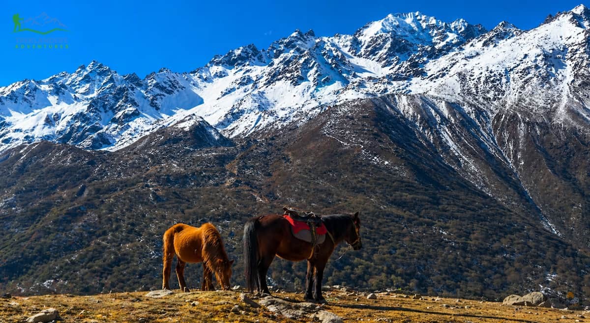 Langtang Valley Trek