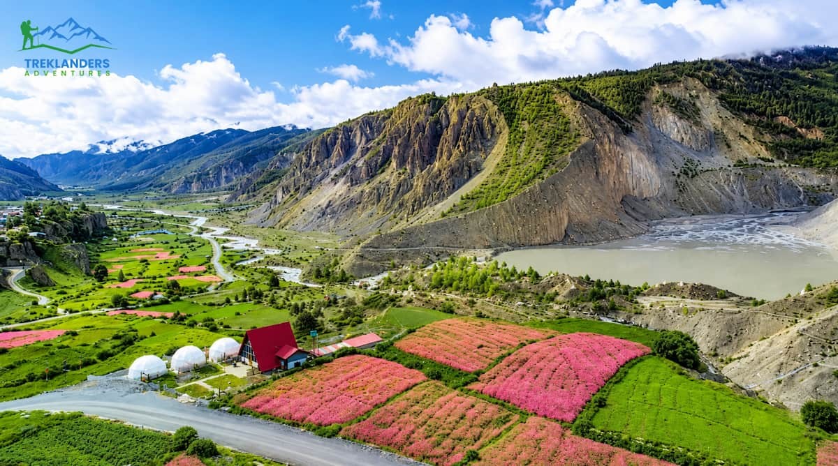 Manang Valley- Annapurna Circuit Trek