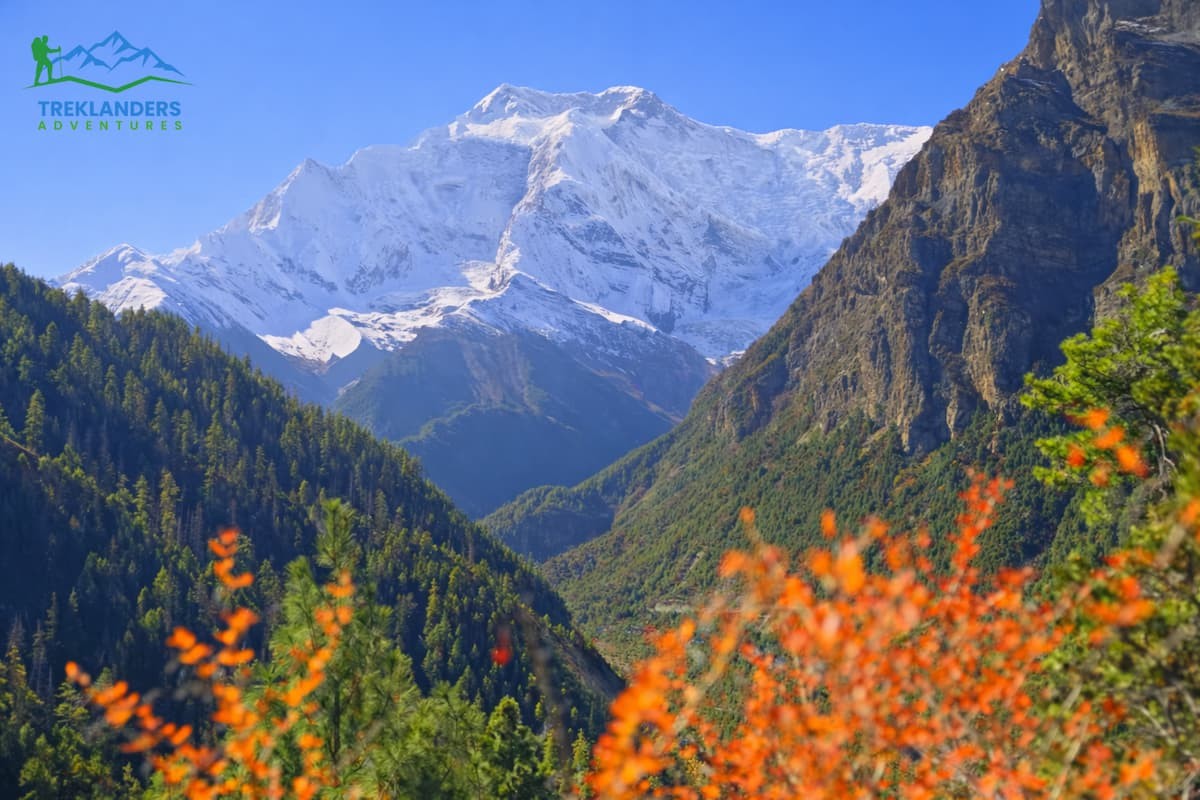 Annapurna Circuit Trek