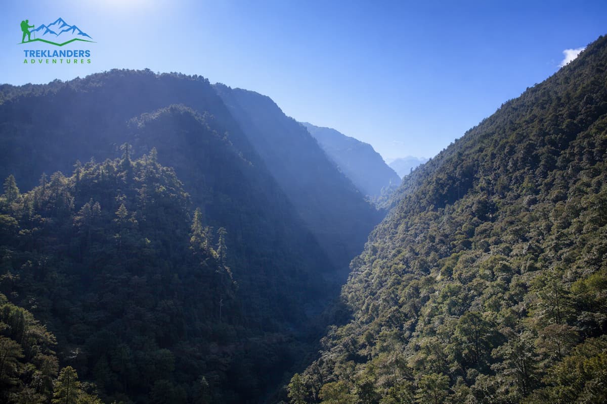 Forest- Langtang Valley Trek