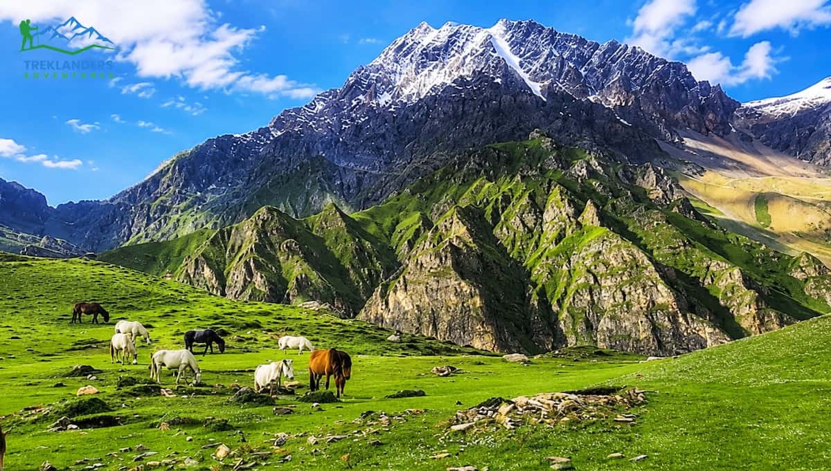 Nar Phu Valley Trek