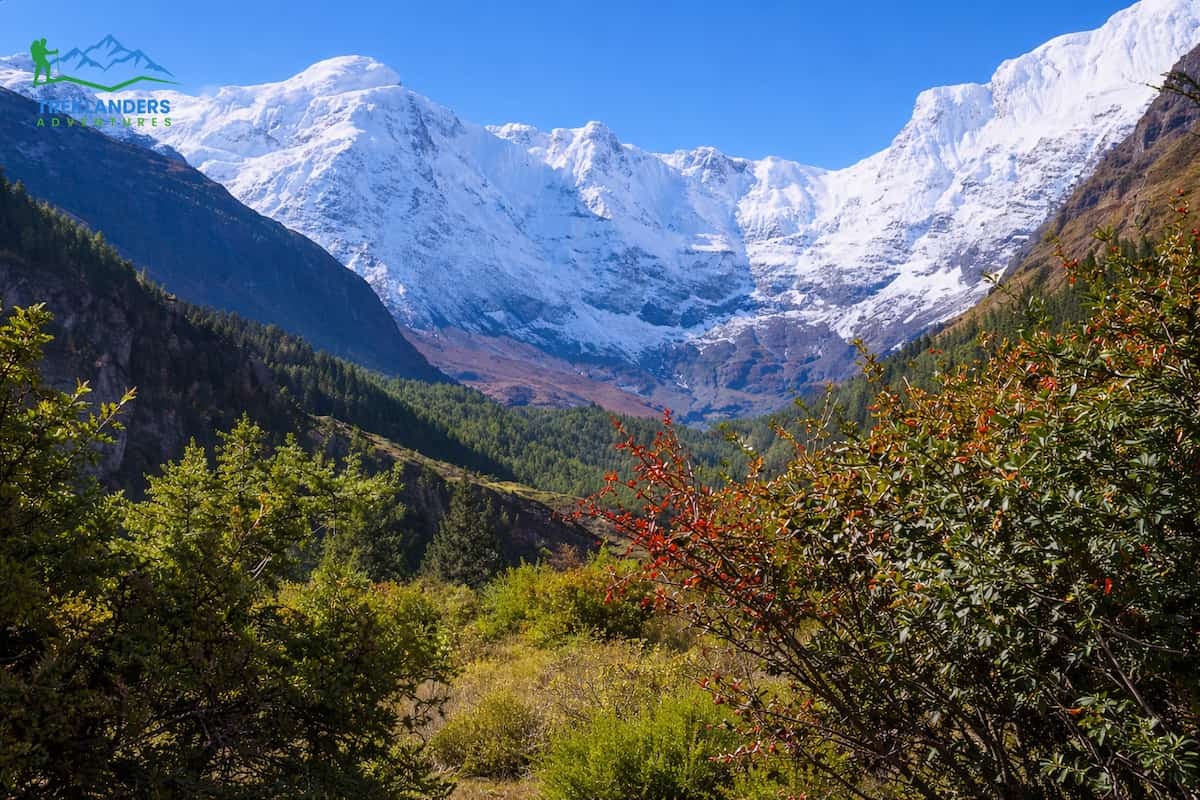 Annapurna Circuit Trek