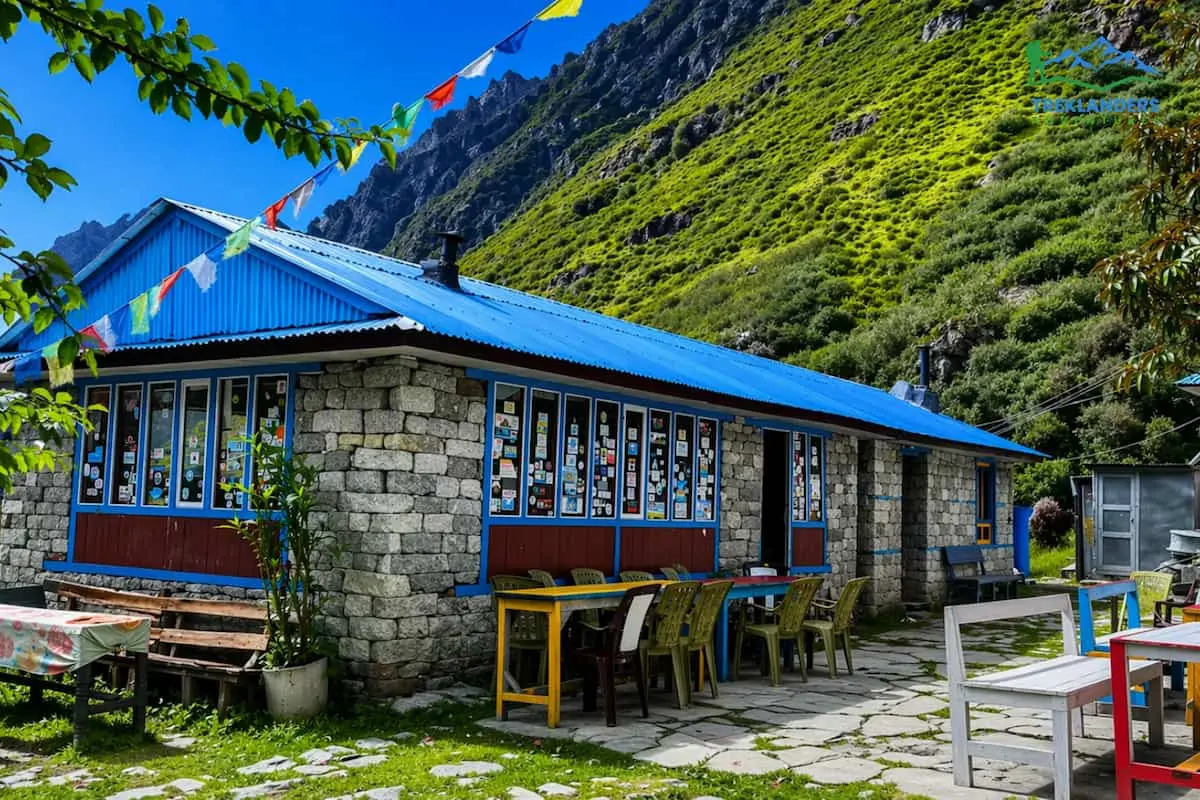 Ghoda Tabela (3,030m): Best Langtang Valley Trek Stop for Views & Acclimatization