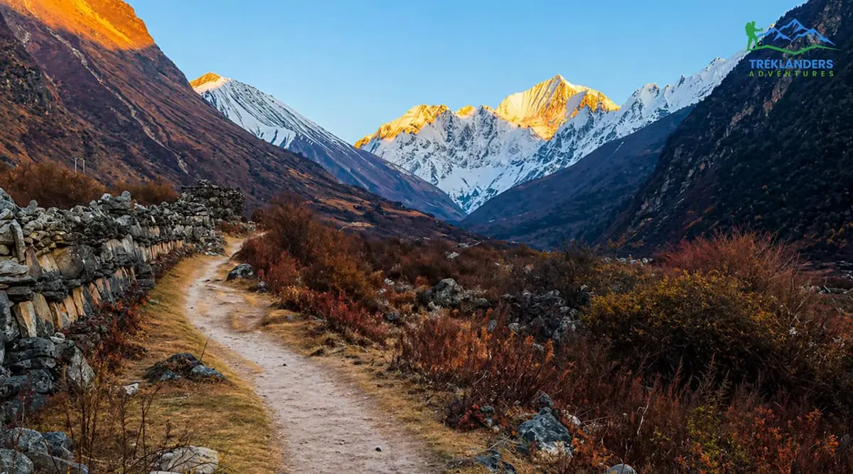 Langtang Valley Trek Guided vs Independent | Cost, Safety & Trekking Tips
