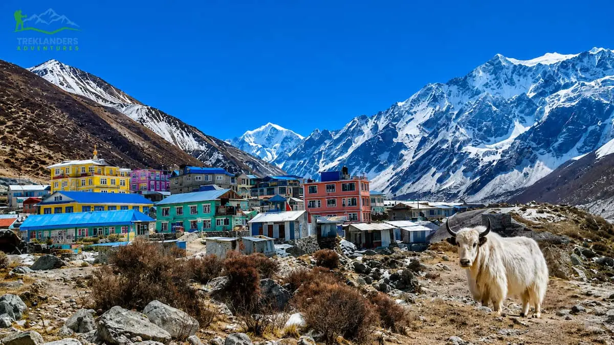 Langtang Valley Trek Safety Guide | Best Months, Trail Conditions & Weather