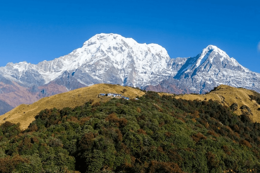 14-Day Mardi Base Camp Trekking