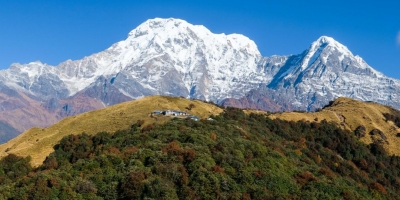 Mardi Base Camp Trekking