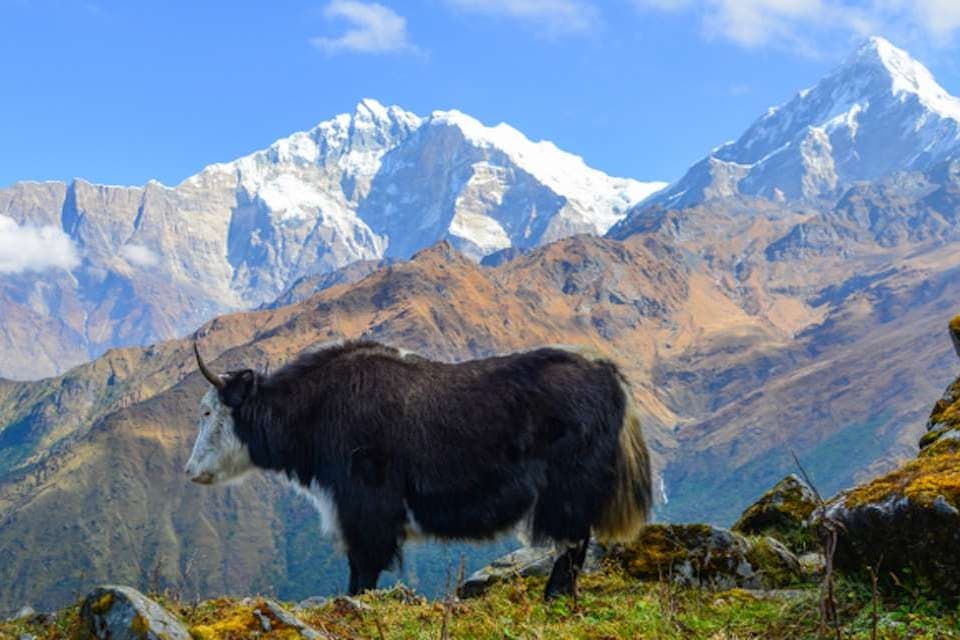 Khopra Ridge & Khair Lake Trekking