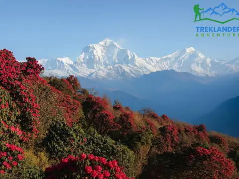 Ghorepani Poonhill Trek