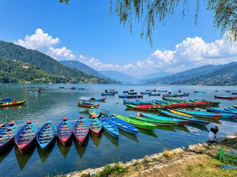 7-Day Kathmandu Pokhara and Chitwan wildlifeTour