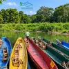 Colorful canoe boats rest by a green riverbank in Chitwan