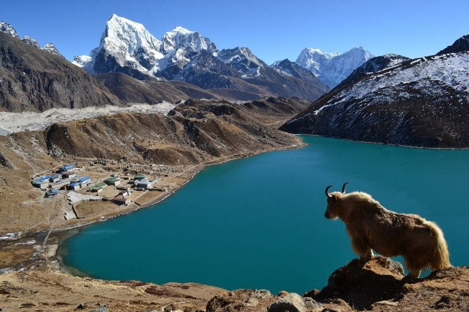 Everest Three Passes Trekking