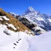 Mardi Himal Trek